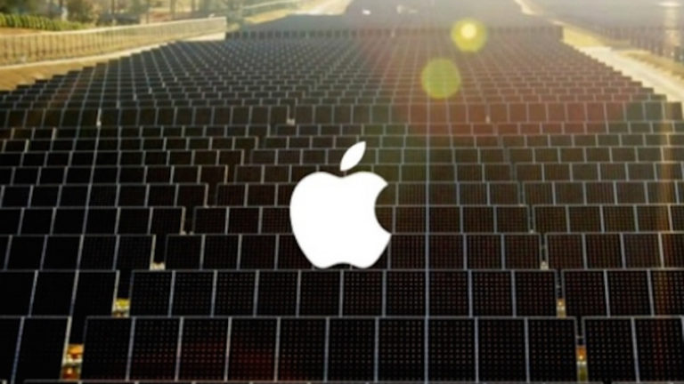 sun_ferm_apple