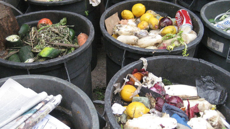 В Британии появилось приложение, с помощью которого можно заказать еду из мусорного бака