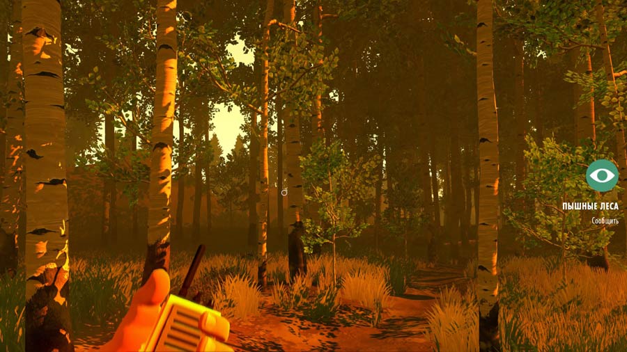 firewatch