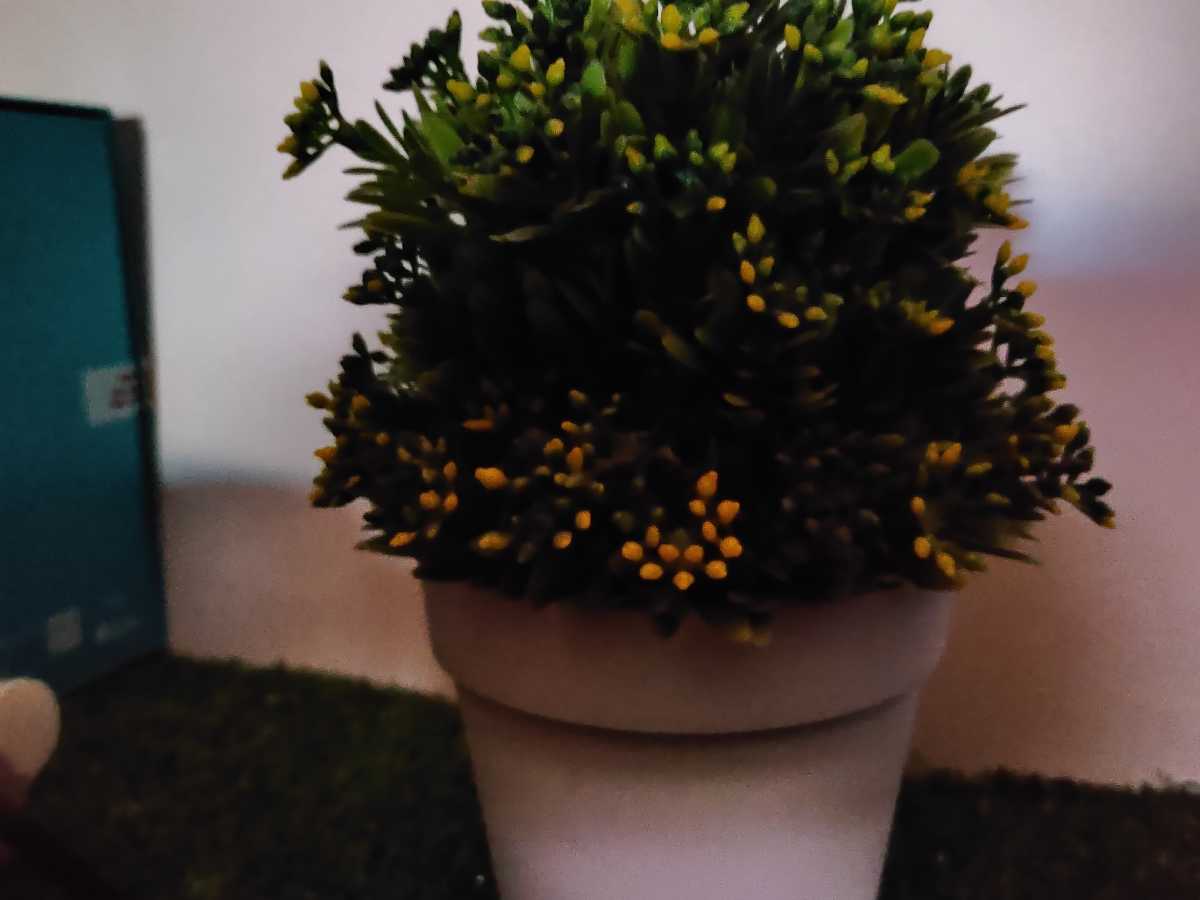 Img20190703162744