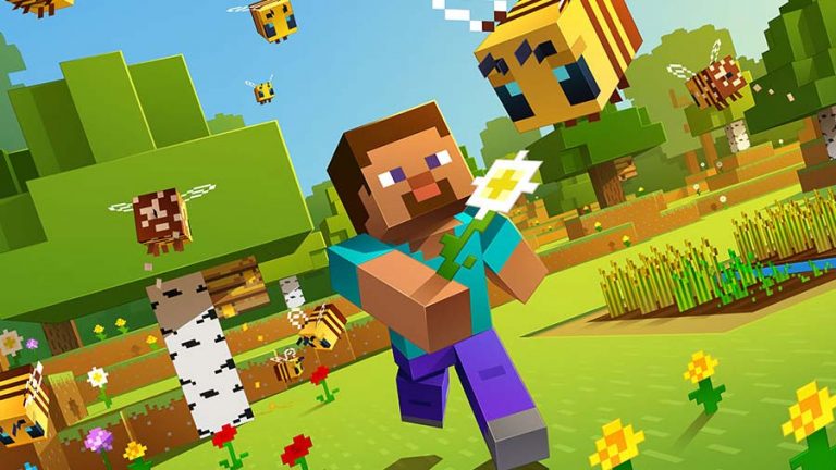 Minecraft 01