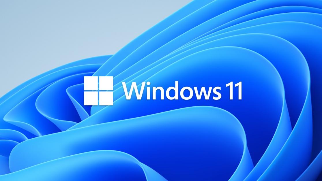 Как установить бету windows 11