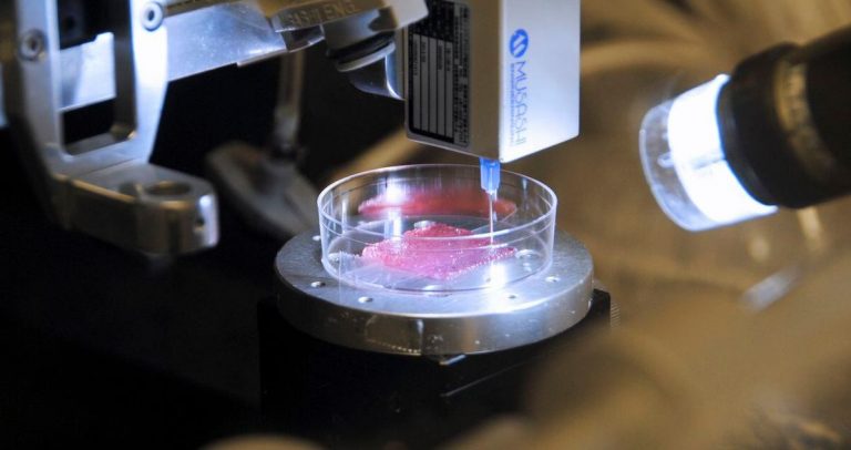 На 3D-принтере впервые напечатали человеческую кожу с волосами