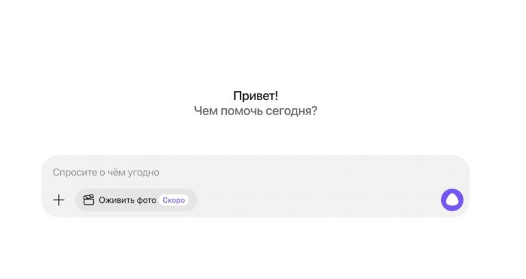 «Нормально ли, что кот храпит?» Яндекс рассказал, о чём люди спрашивают Алису AI