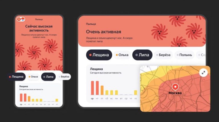 В «Яндекс Погоде» теперь можно отслеживать цветение 8 растений и заносы пыльцы